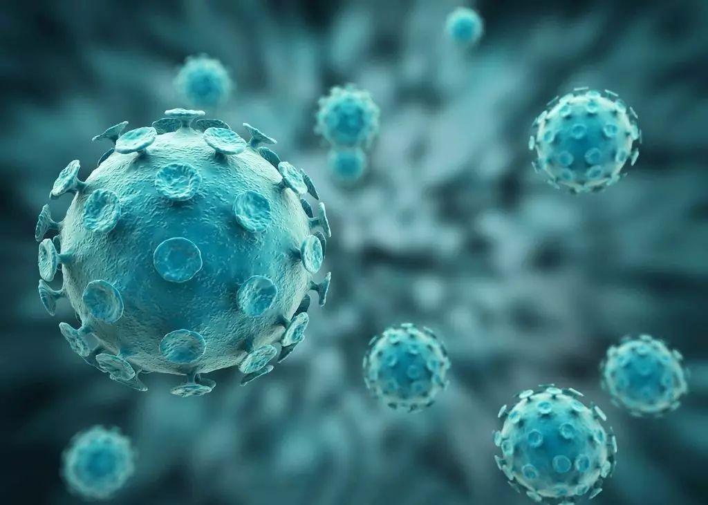 src=http_%2F%2F5b0988e595225.cdn.sohucs.com%2Fimages%2F20171117%2F1aff6c4f6183451fb9aee6611fc108f8.jpeg&refer=http_%2F%2F5b0988e595225.cdn.sohucs (1).jpg